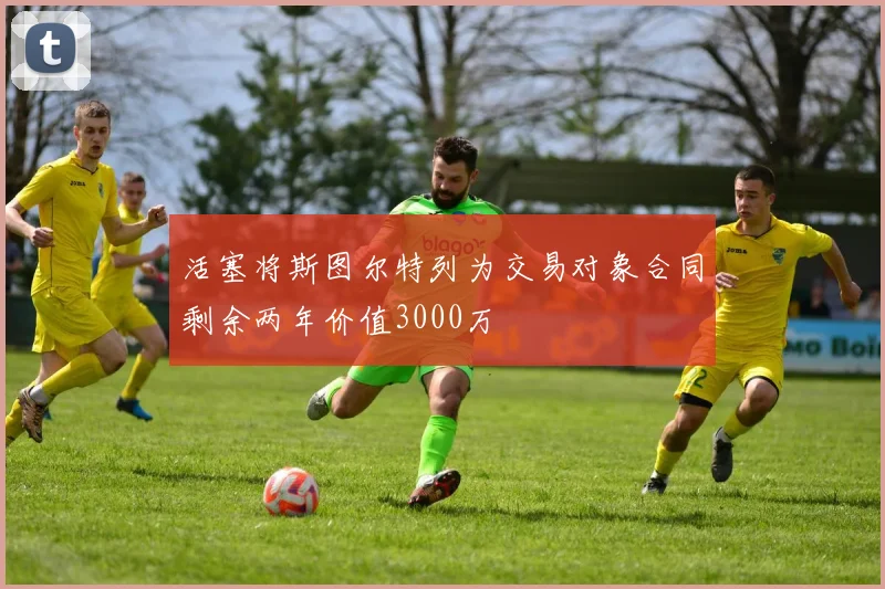 活塞将斯图尔特列为交易对象合同剩余两年价值3000万
