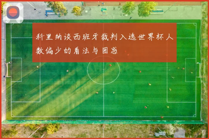 科里纳谈西班牙裁判入选世界杯人数偏少的看法与困惑